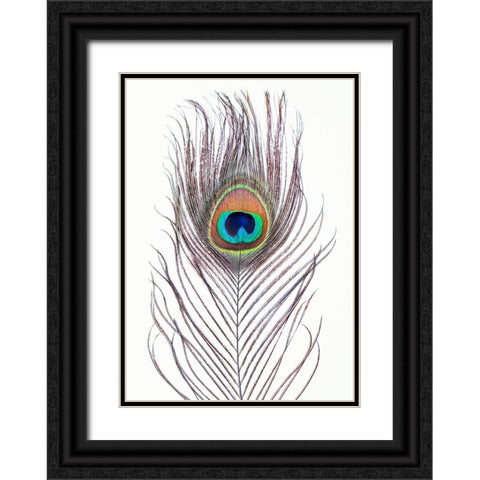 Peacock Feather Black Ornate Wood Framed Art Print with Double Matting by Pienaar, Kathrin