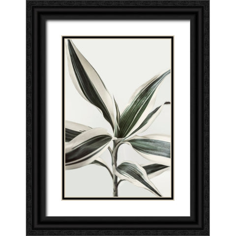 Foliage Black Ornate Wood Framed Art Print with Double Matting by Pienaar, Kathrin