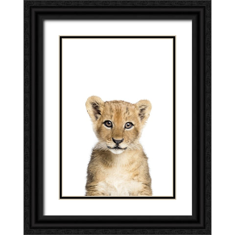 Baby Lion Black Ornate Wood Framed Art Print with Double Matting by Pienaar, Kathrin