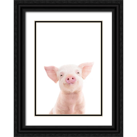 Baby Pig Black Ornate Wood Framed Art Print with Double Matting by Pienaar, Kathrin