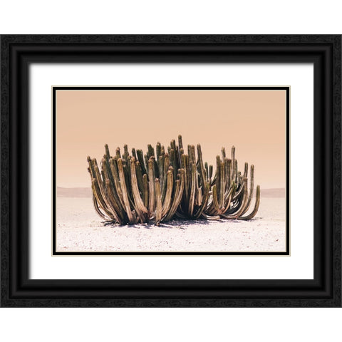 Peach Sky Cactus Black Ornate Wood Framed Art Print with Double Matting by Pienaar, Kathrin