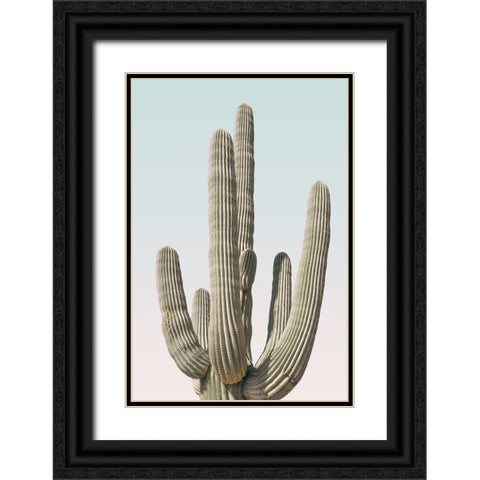 Saguaro Black Ornate Wood Framed Art Print with Double Matting by Pienaar, Kathrin
