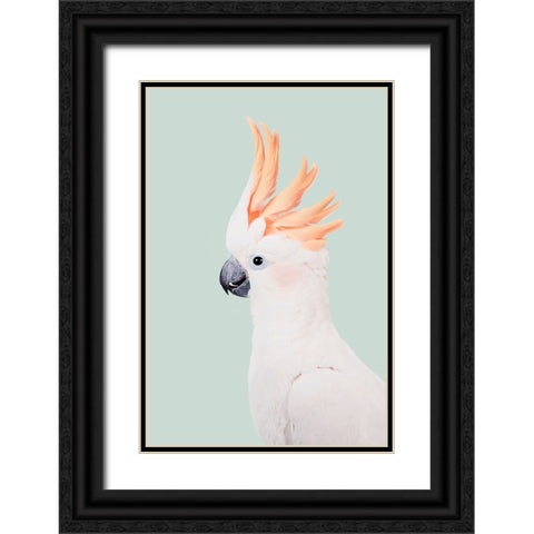 Cockatoo Black Ornate Wood Framed Art Print with Double Matting by Pienaar, Kathrin