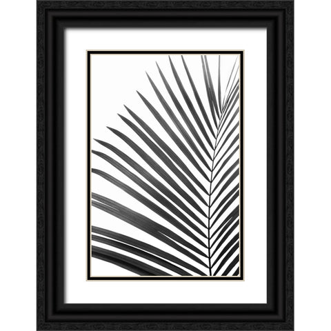 BW Palm Leaf Black Ornate Wood Framed Art Print with Double Matting by Pienaar, Kathrin
