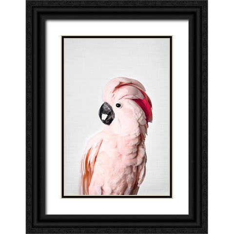 Pink Cockatoo Black Ornate Wood Framed Art Print with Double Matting by Pienaar, Kathrin