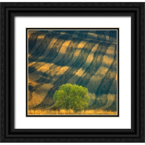Tree ... Black Ornate Wood Framed Art Print with Double Matting by Browko, Krzysztof