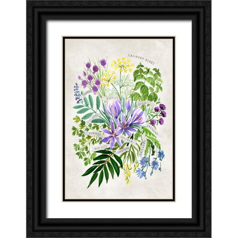 Culinary herbs in vintage gray Black Ornate Wood Framed Art Print with Double Matting by Laiz Blursbyai, Rosana