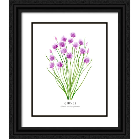 Chives I Black Ornate Wood Framed Art Print with Double Matting by Laiz Blursbyai, Rosana