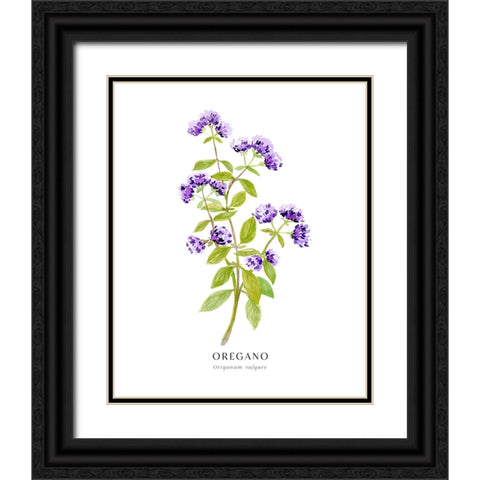 Oregano I Black Ornate Wood Framed Art Print with Double Matting by Laiz Blursbyai, Rosana