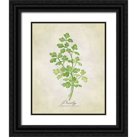 Parsley vintage Black Ornate Wood Framed Art Print with Double Matting by Laiz Blursbyai, Rosana