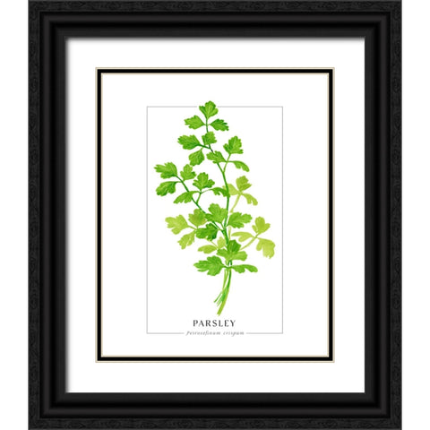 Parsley II Black Ornate Wood Framed Art Print with Double Matting by Laiz Blursbyai, Rosana