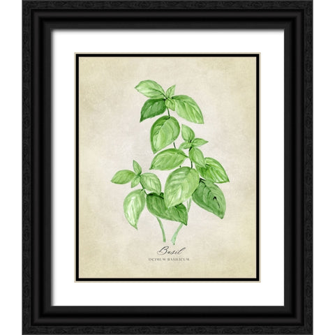 Basil vintage Black Ornate Wood Framed Art Print with Double Matting by Laiz Blursbyai, Rosana