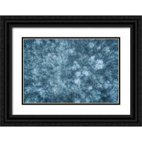 Winter Forest Black Ornate Wood Framed Art Print with Double Matting by Krier, Guy