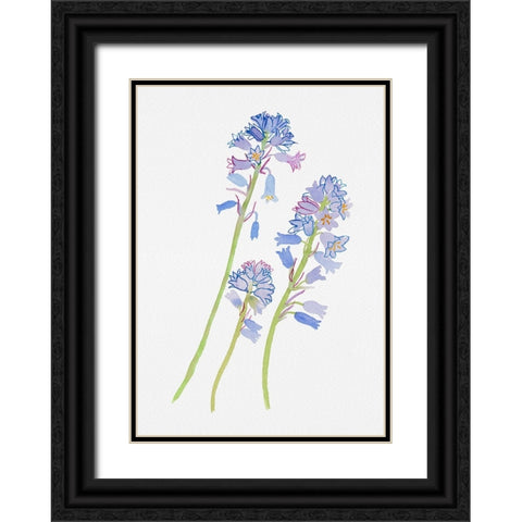 Spanish bluebell or Hyacinthoides hispanica botanical painting Black Ornate Wood Framed Art Print with Double Matting by Kata Botanical