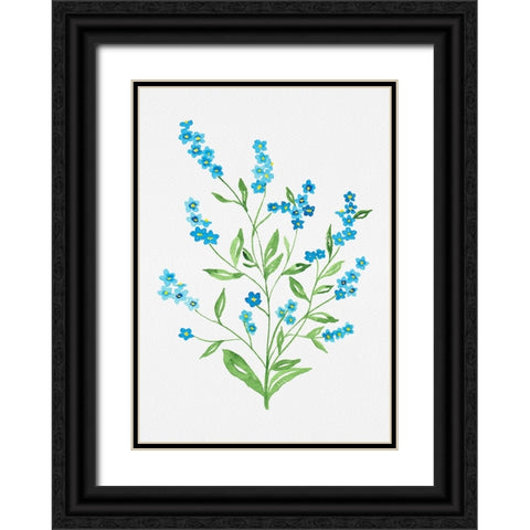 Wood forget-me-not or Myosotis sylvatica botanical painting Black Ornate Wood Framed Art Print with Double Matting by Kata Botanical