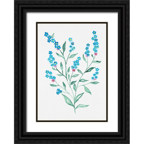 Wood forget-me-not or Myosotis sylvatica botanical painting Black Ornate Wood Framed Art Print with Double Matting by Kata Botanical