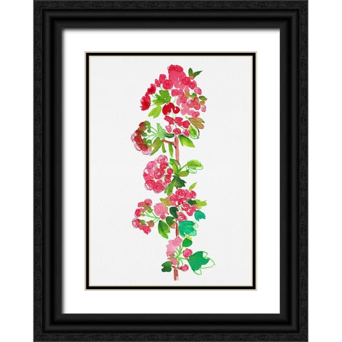 Crataegus laevigata Pauls Scarlet Black Ornate Wood Framed Art Print with Double Matting by Kata Botanical