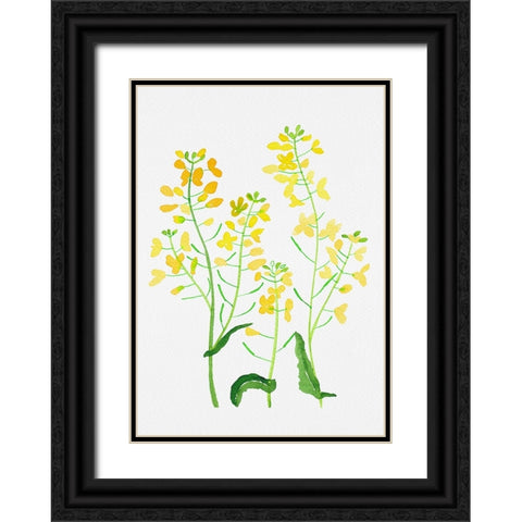 Rapeseed or Brassica napus botanical painting Black Ornate Wood Framed Art Print with Double Matting by Kata Botanical
