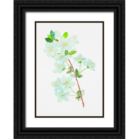 Wild cherry or Prunus avium botanical painting Black Ornate Wood Framed Art Print with Double Matting by Kata Botanical