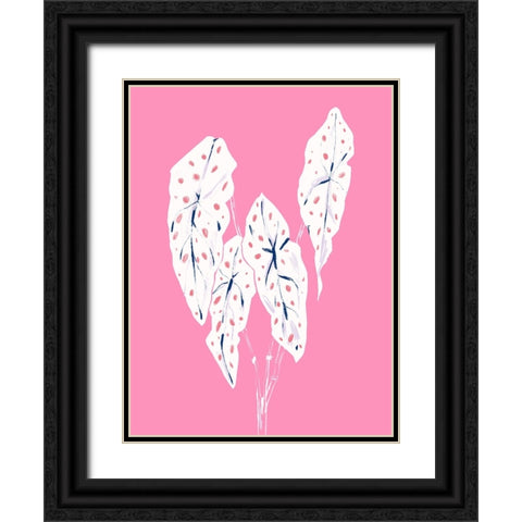 Begonia Maculata Pink Black Ornate Wood Framed Art Print with Double Matting by Gulina, Francesco