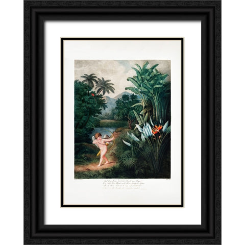 Cupid Inspiring Plants with Love from The Temple of Flora (1807) Black Ornate Wood Framed Art Print with Double Matting by Pictufy