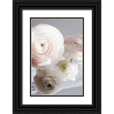 Soft Ranunculus Black Ornate Wood Framed Art Print with Double Matting by uplusmestudio