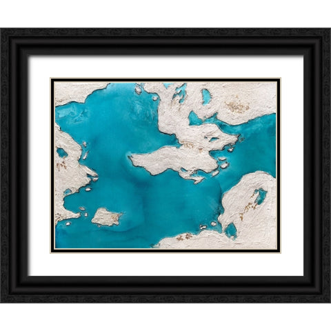 Great Barrier Reef Black Ornate Wood Framed Art Print with Double Matting by Storms, Alyson