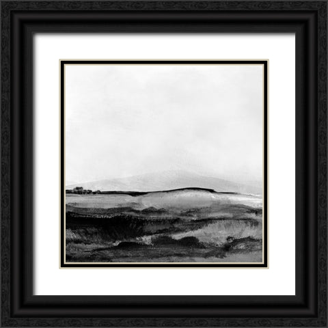 Mono Landscape No1 Black Ornate Wood Framed Art Print with Double Matting by Hobday, Dan