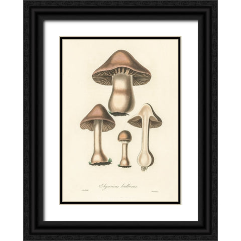 Agaricus Bulbosus Illustration. Medical Botany 1836 Black Ornate Wood Framed Art Print with Double Matting by Pictufy