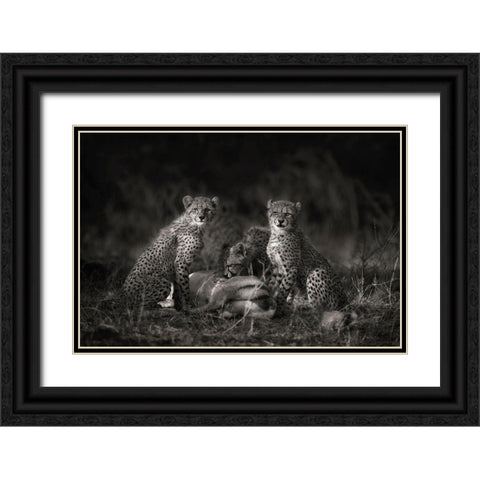 Cheetah Cubs Black Ornate Wood Framed Art Print with Double Matting by Moreno, Mario