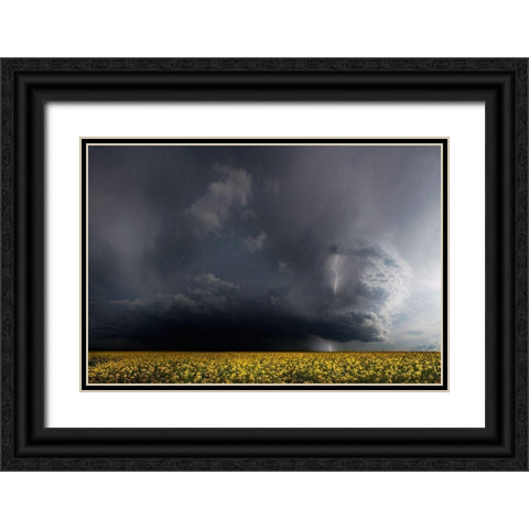 Gewitterfront Black Ornate Wood Framed Art Print with Double Matting by Schumacher, Nicolas