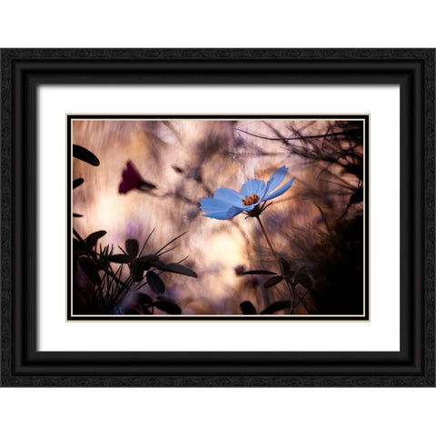 Lindiffacrence Black Ornate Wood Framed Art Print with Double Matting by Bravin, Fabien