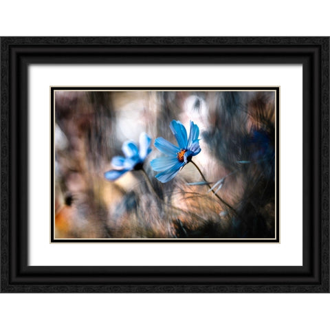 The Two Of Us Black Ornate Wood Framed Art Print with Double Matting by Bravin, Fabien