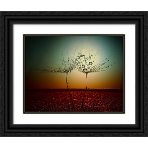 Fire And Water Black Ornate Wood Framed Art Print with Double Matting by Lazarov, Dimitar