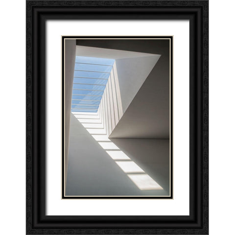 Air! Black Ornate Wood Framed Art Print with Double Matting by P Neto, Filipe