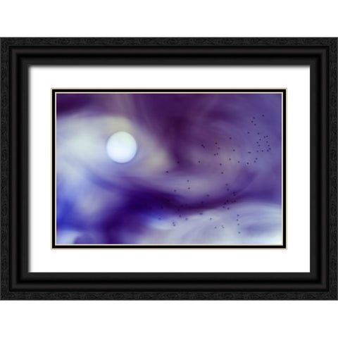 Passage Into The Unknown Black Ornate Wood Framed Art Print with Double Matting by Onkamo, Carola