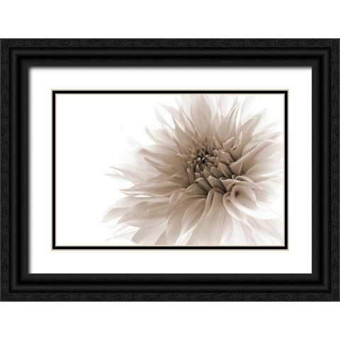 Dignified Black Ornate Wood Framed Art Print with Double Matting by Wettstein, Priska