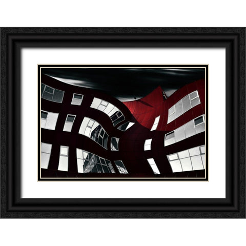 Butterfly Black Ornate Wood Framed Art Print with Double Matting by Krivec, Samanta