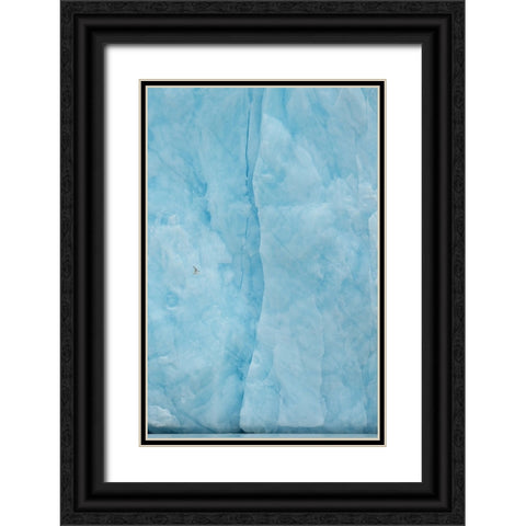 Kittiwake Flying Into The Blue Black Ornate Wood Framed Art Print with Double Matting by Adams, Yves