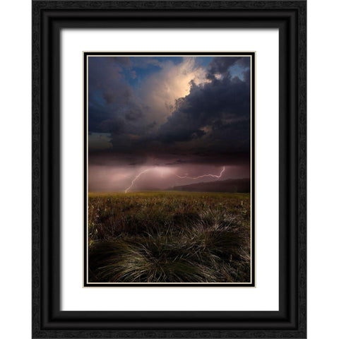 Summer Lights Black Ornate Wood Framed Art Print with Double Matting by Schumacher, Nicolas