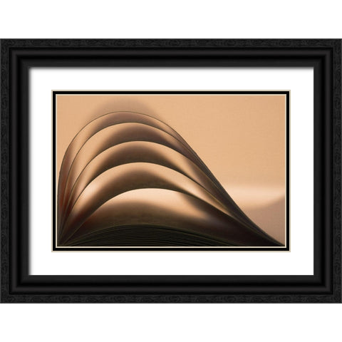 Wave Black Ornate Wood Framed Art Print with Double Matting by Ghesquiere, Hilde