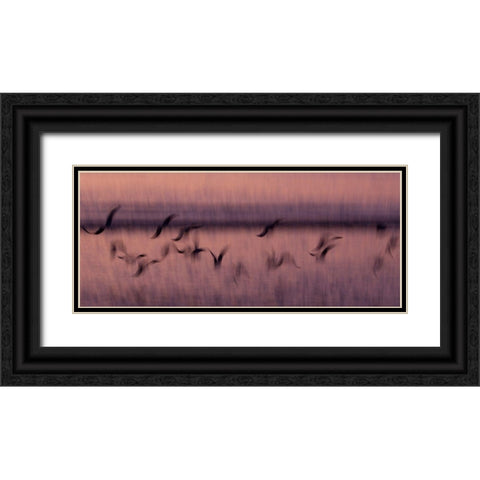 Flight Black Ornate Wood Framed Art Print with Double Matting by Abildgren, Rasmus