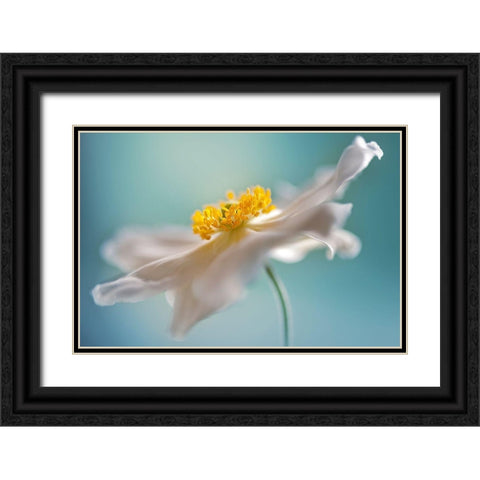 Autumn Reverie Black Ornate Wood Framed Art Print with Double Matting by Parker, Jacky