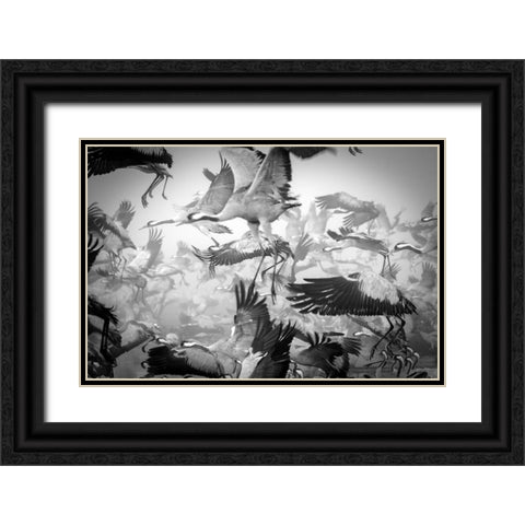 Chaos Black Ornate Wood Framed Art Print with Double Matting by Meirovich, Ido