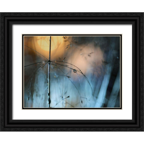 Almost Dark Black Ornate Wood Framed Art Print with Double Matting by Westum, Heidi