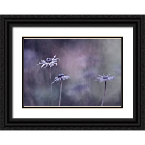 End Of Season Black Ornate Wood Framed Art Print with Double Matting by Heemskerk, Bernadette