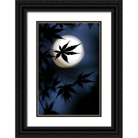 Color Of Japan Black Ornate Wood Framed Art Print with Double Matting by Tomihisa, Kouji