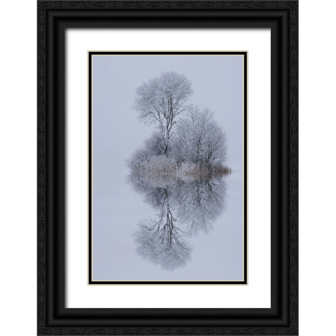 Winter Stillness Black Ornate Wood Framed Art Print with Double Matting by Maier, Norbert