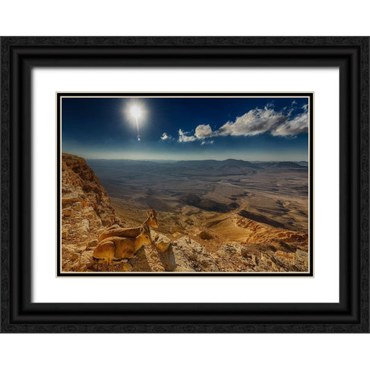 Perspective Image