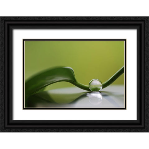 Green Harmony Black Ornate Wood Framed Art Print with Double Matting by Westum, Heidi